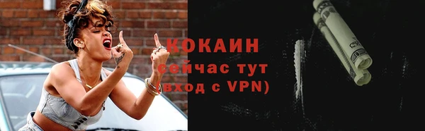 сатива Инта