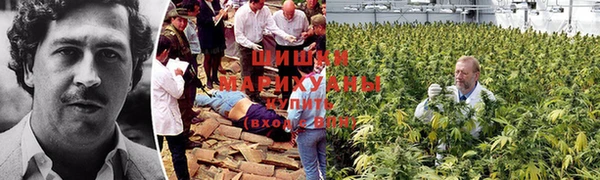 mdpv Иннополис