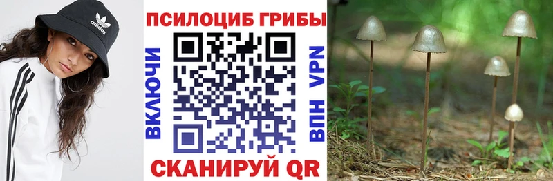 сколько стоит  Чистополь  Псилоцибиновые грибы GOLDEN TEACHER 