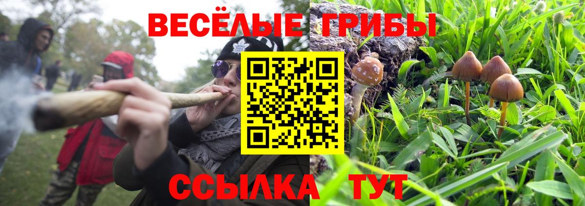 Галлюциногенные грибы мухоморы  Псилоцибиновые грибы Cubensis  Вход с VPN  Чистополь 