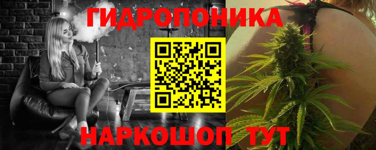 Чистополь  Бошки марихуана ГИДРОПОН  Вход с VPN  Бошки Шишки White Widow 
